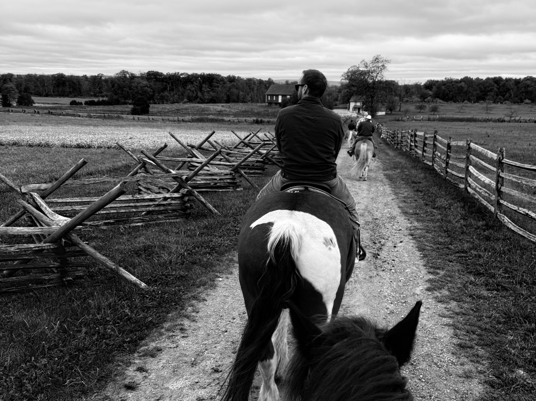 Hickory Hollow Horse Farm-葛底斯堡必去景点