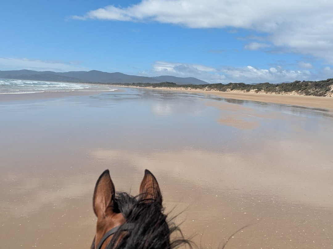 Cradle Country Adventures-摇篮山圣克莱尔湖国家公园必去景点