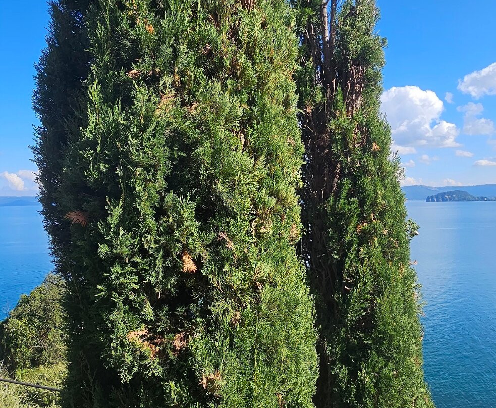Centro Storico Di Capodimonte-Capodimonte必去景点