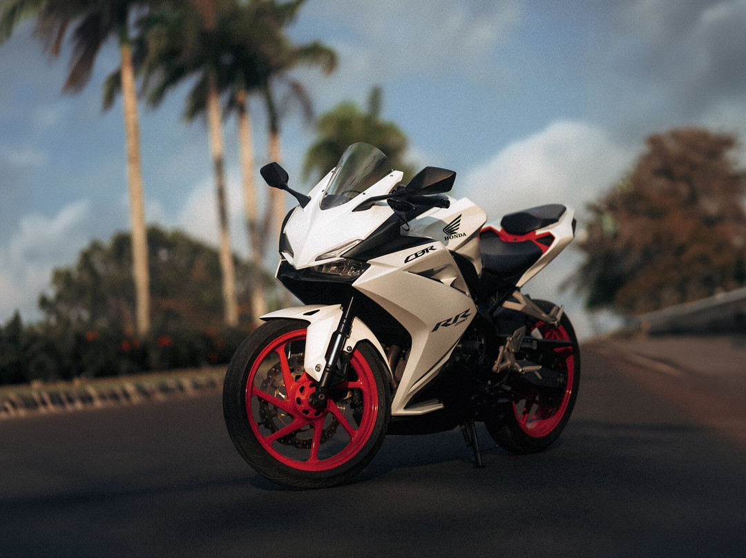 Motorcycle Rental Bali  by RedGecko Bikes-Pemecutan Klod必去景点