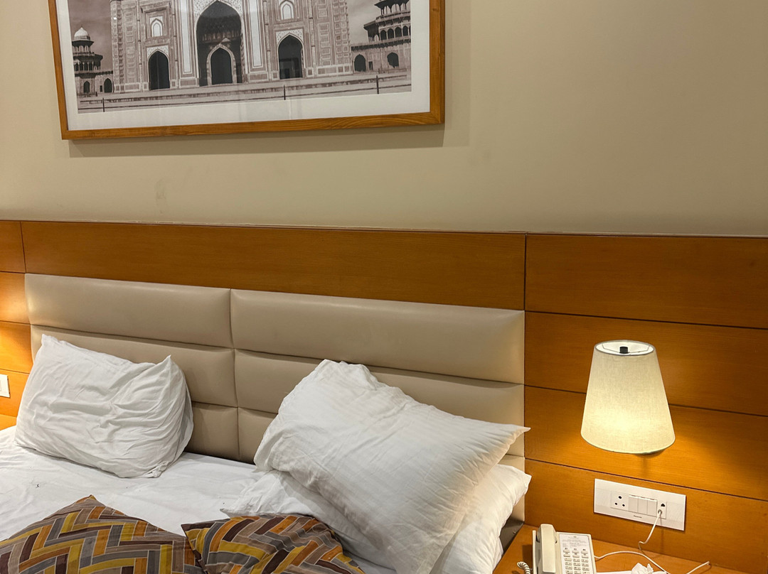 Lemon Tree Hotel Agra主图