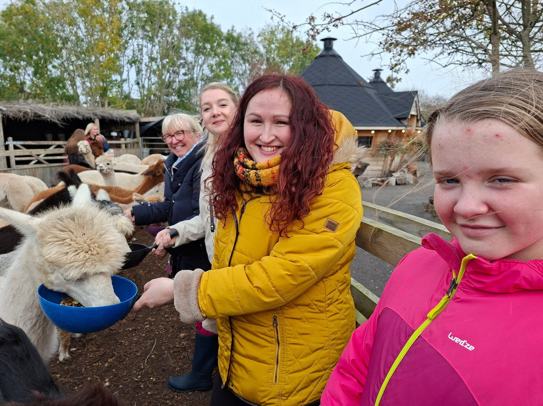 Nanny Sharon's Alpaca Farm C.I.C-Prenton必去景点