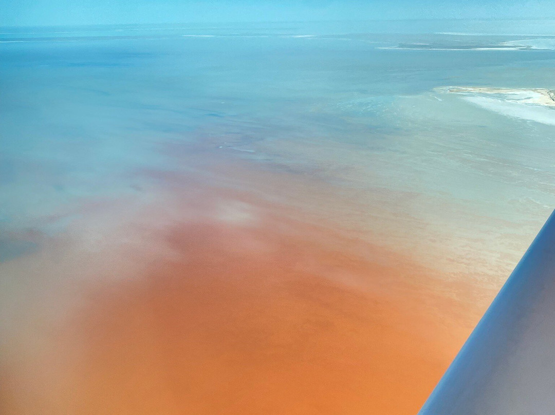 Arid Air-Marree必去景点