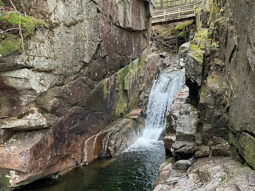 Timi's Tours-Moweaqua必去景点