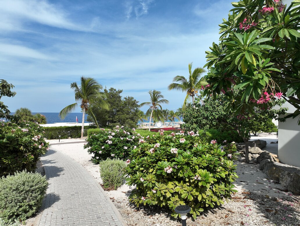 帕帕加海滩成人酒店主图