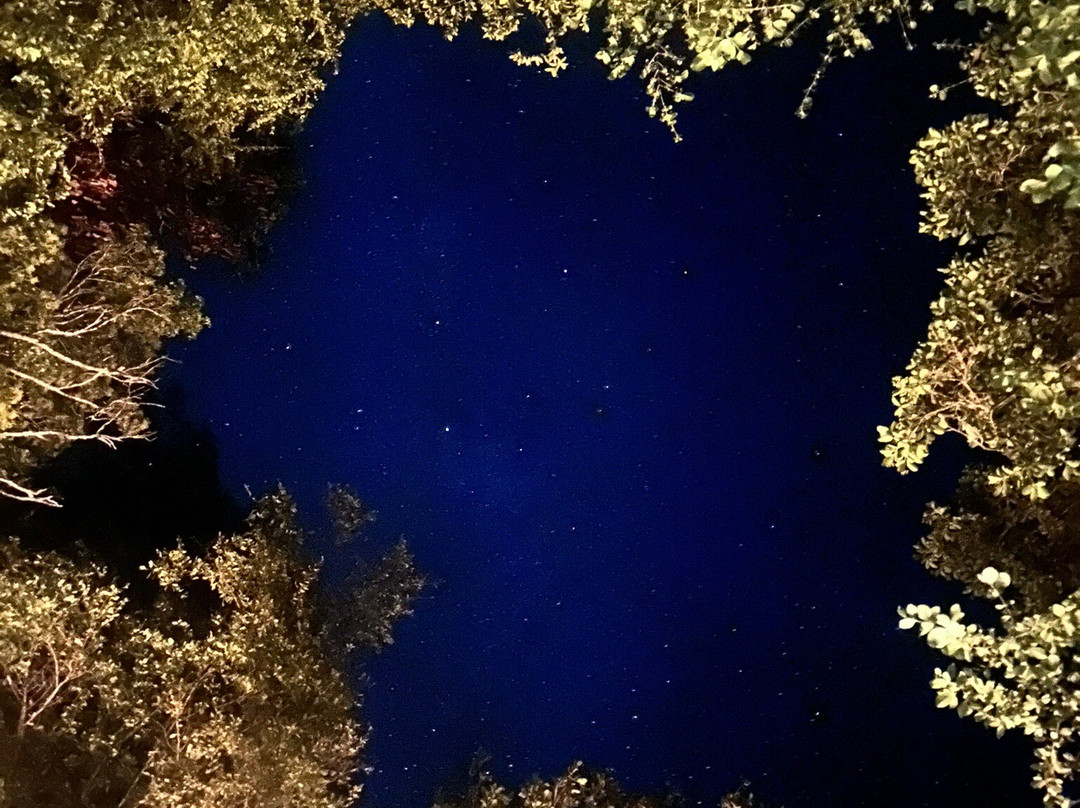 Blue Caribe-艾库玛尔必去景点