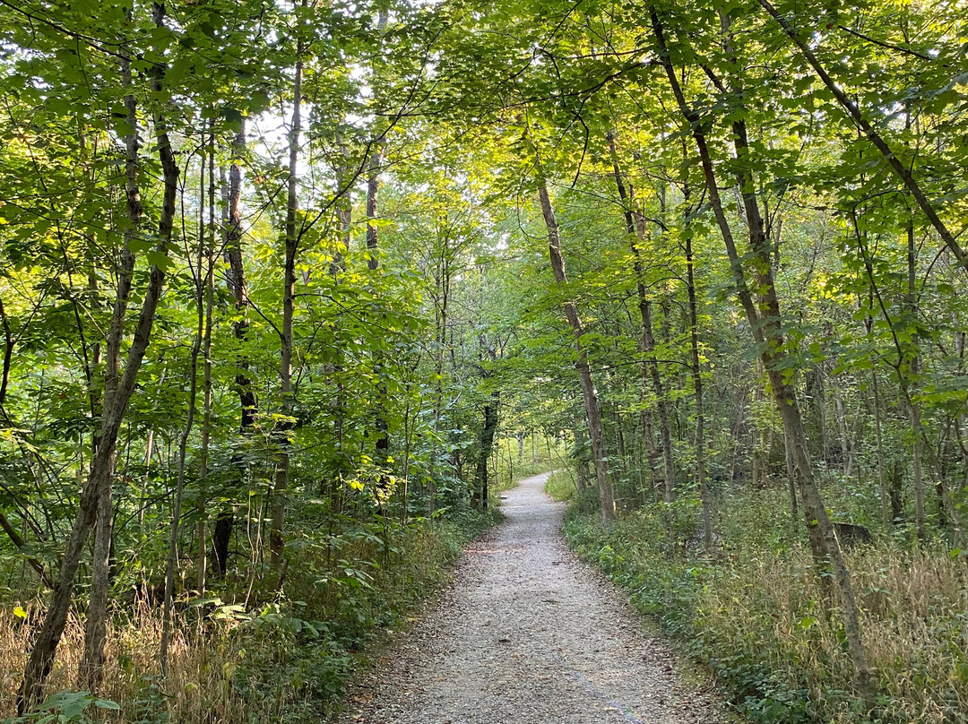 Sharon Woods-沙伦维尔必去景点
