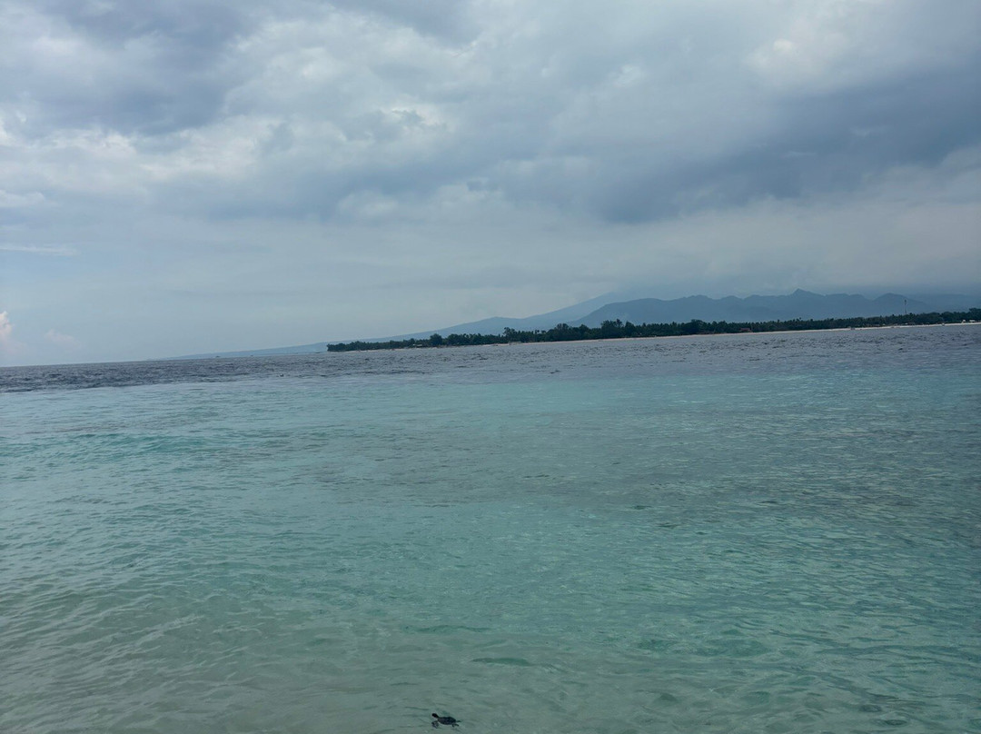 Gili Meno Turtle Sanctuary-Gili Meno必去景点