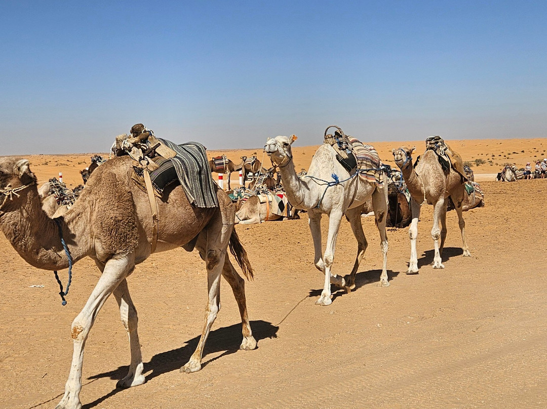 Depart Travel Services-杰尔巴岛必去景点