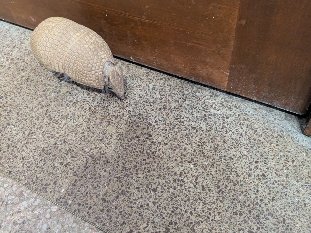 Infinity Acres Petting Ranch-Ridgeway必去景点