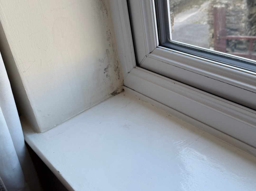 OYO Cocketts Hotel主图