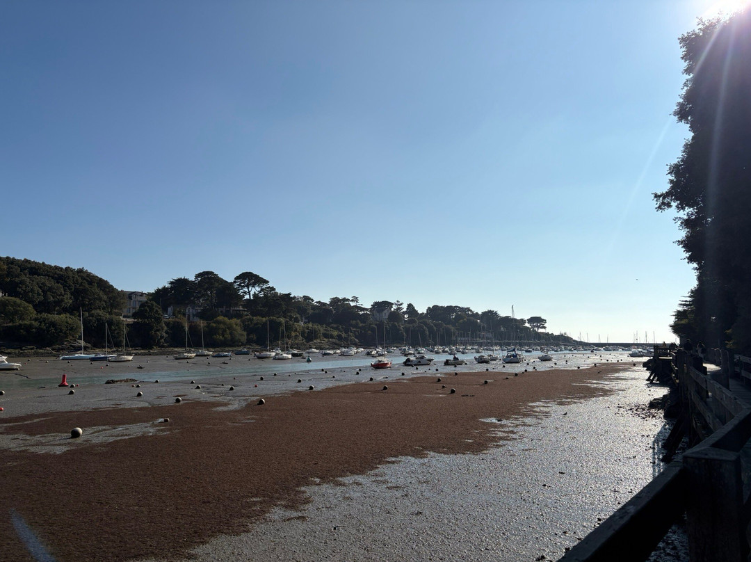 Vieux Port-波尔尼克必去景点