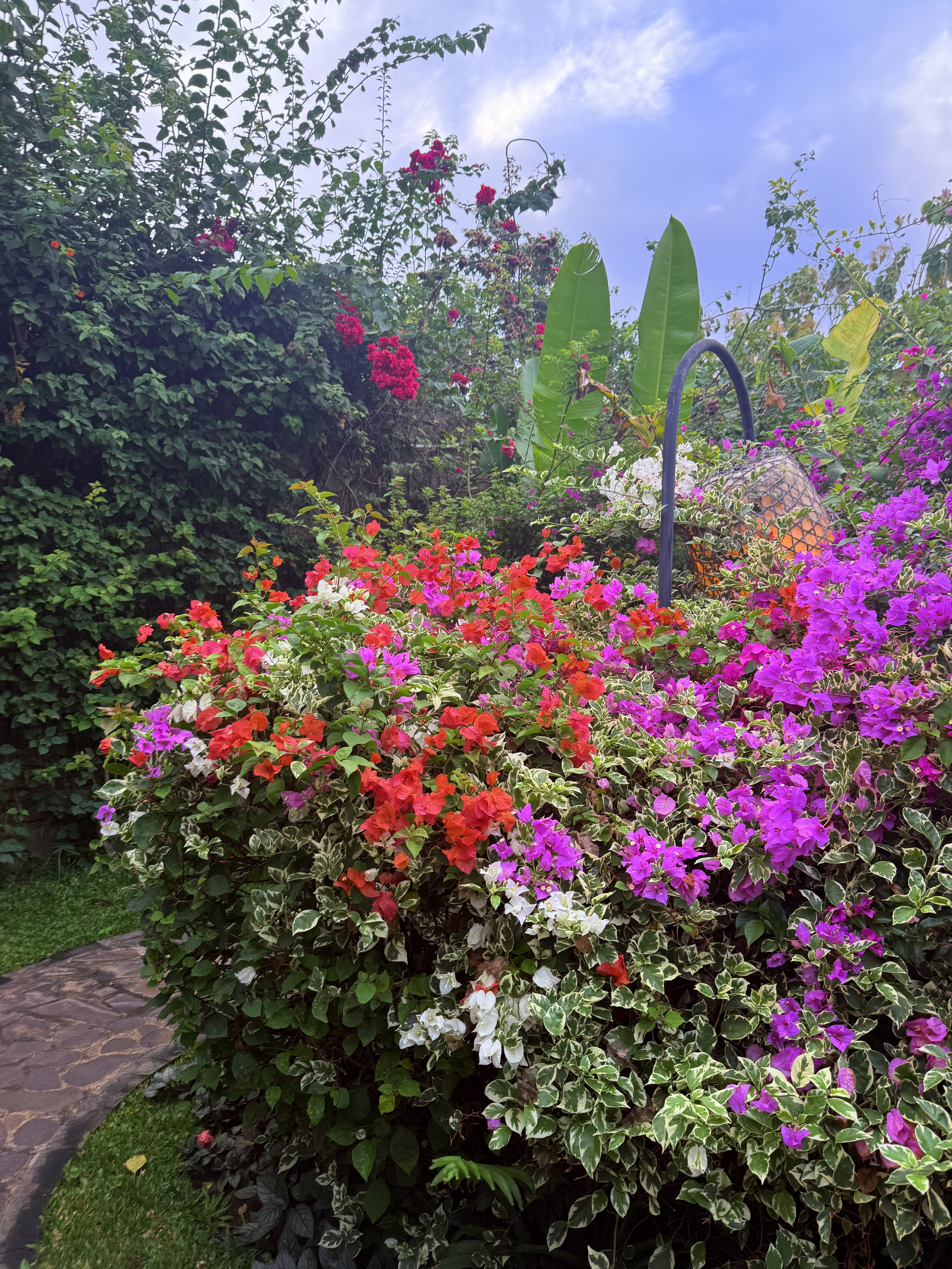 Alamanda Lovina Resort | Yoga Retreat Bali-官方