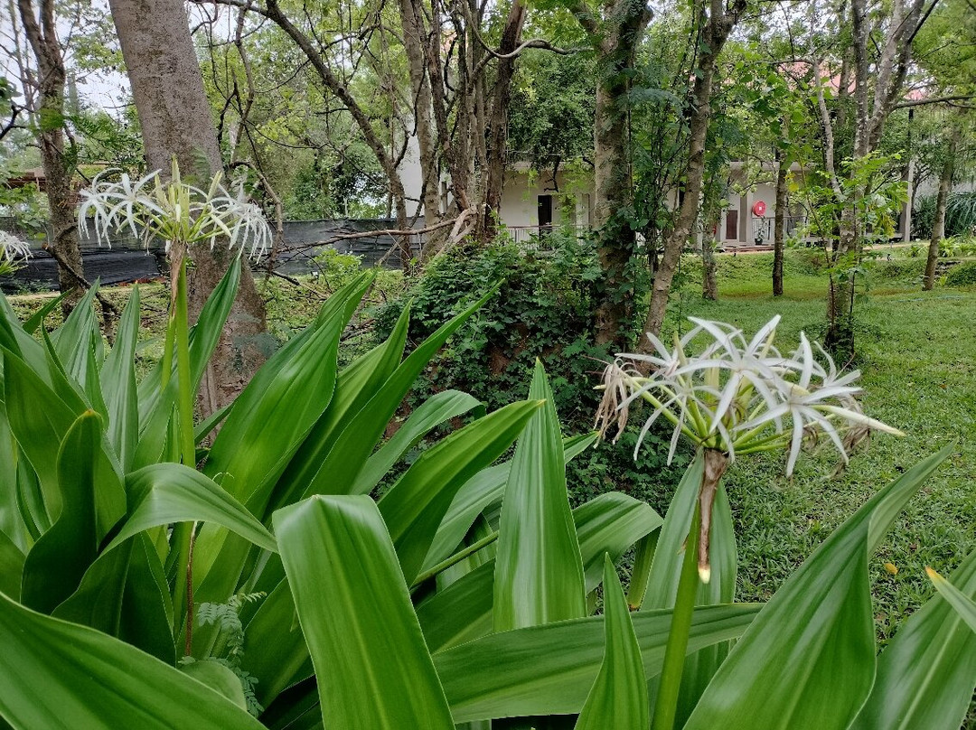 Tropical Life Resort & Spa