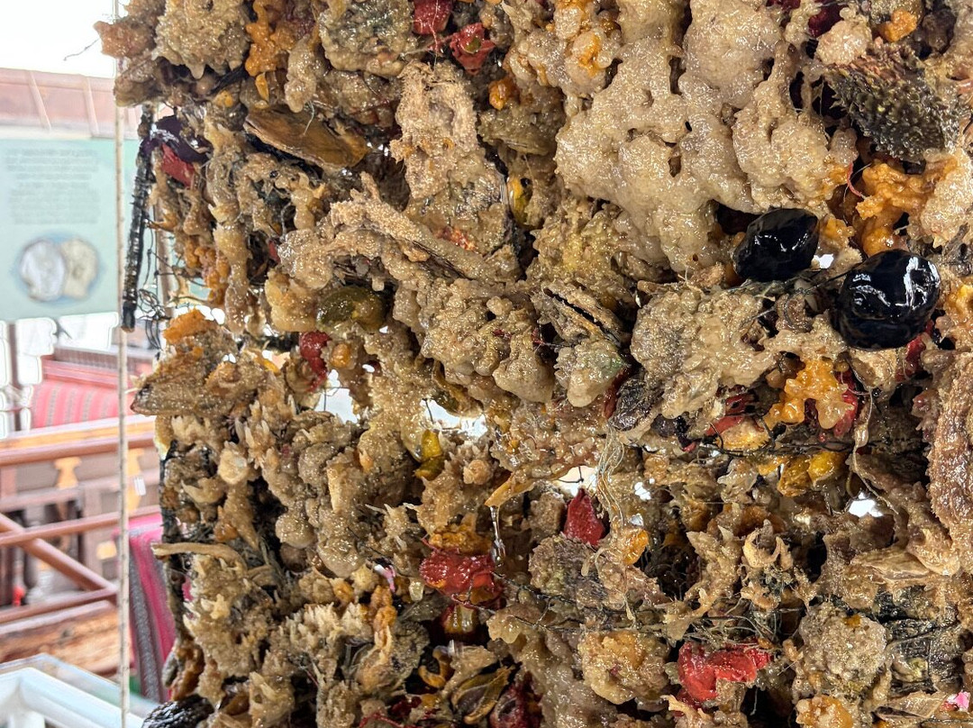 House Of Pearls By Suwaidi Pearls-哈伊马角必去景点