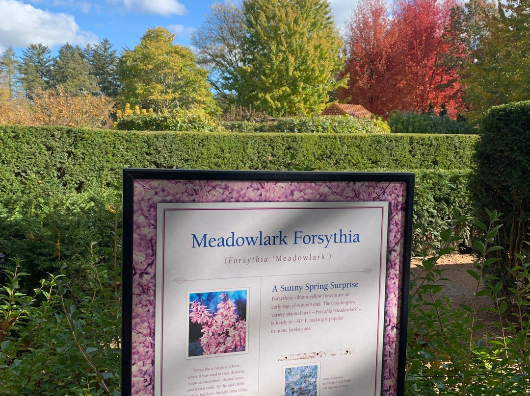 Morton Arboretum-Lisle必去景点