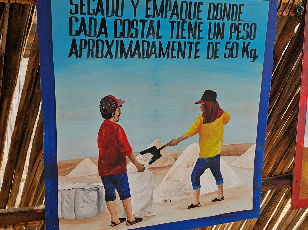 Salinas de Manaure-Manaure必去景点