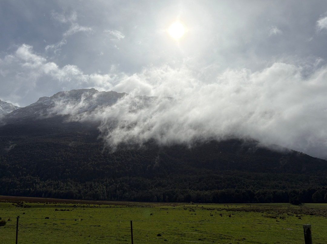 Red Carpet Tours-奥克兰中心地区必去景点