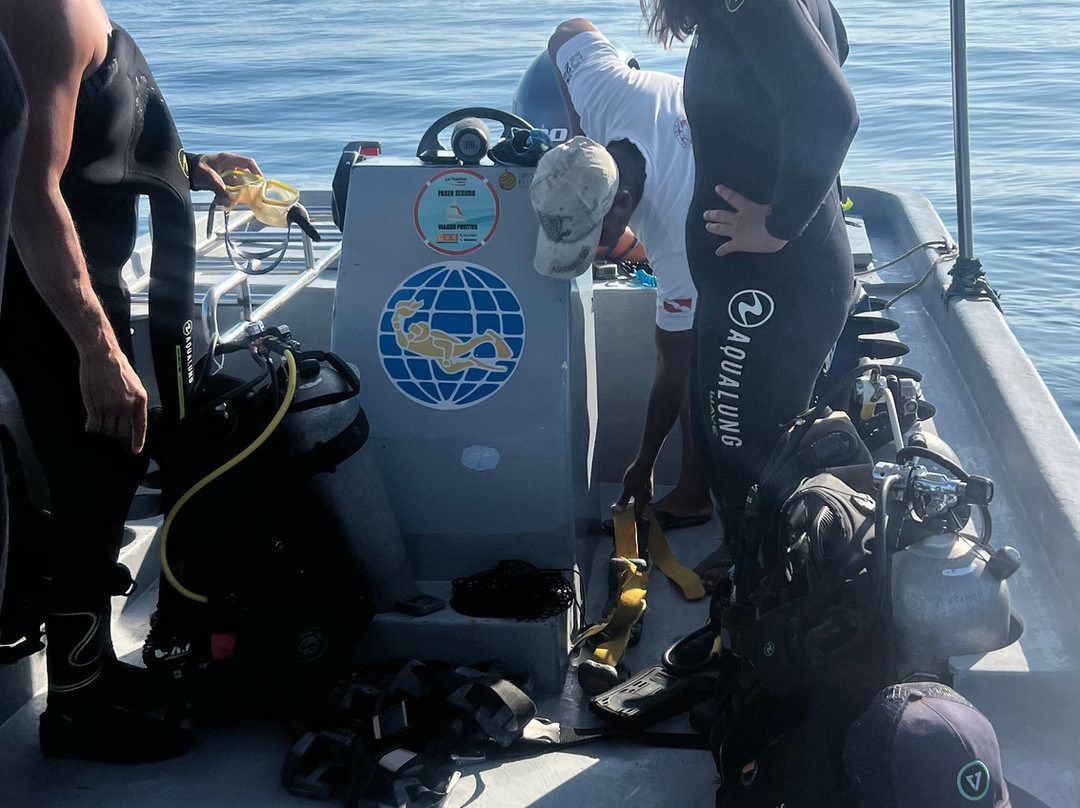 Chelonia Dive Center-Organos必去景点