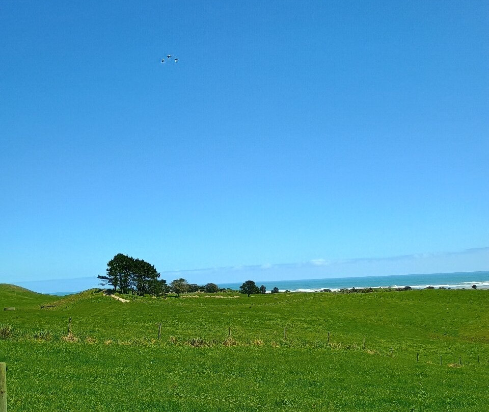 Kawatiri Coastal Trail-韦斯特波特必去景点