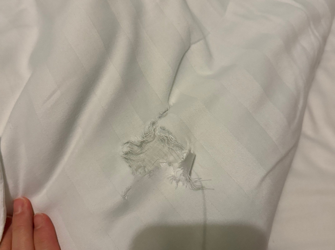 Flamingo Land Resort-Kirby Misperton必去景点