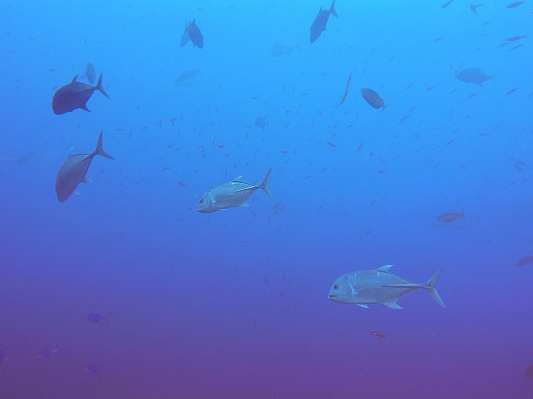 Khao Lak Scuba Adventures-库克卡克海滩必去景点