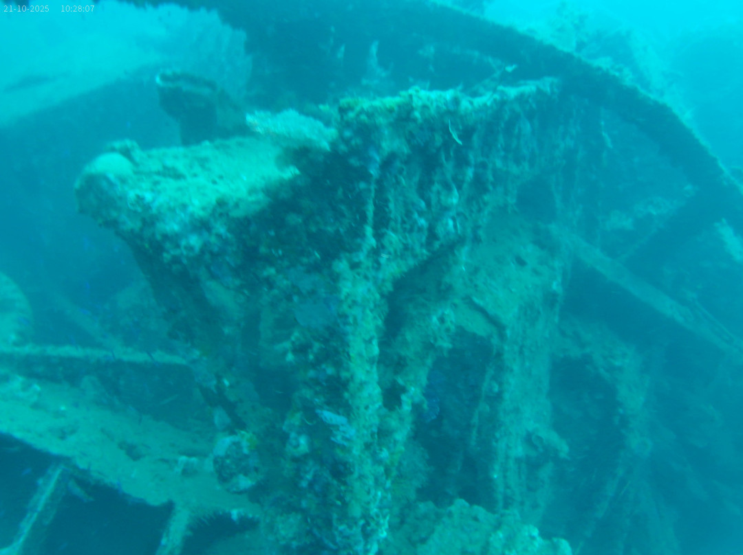 Pacific Dive-卢甘维尔必去景点