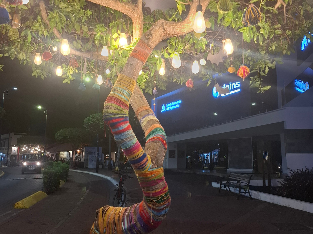 Smart Galapagos-阿约拉港必去景点