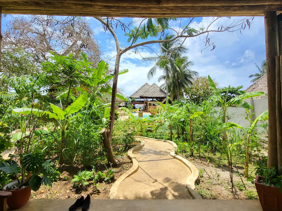 Afro Divers-奔巴岛必去景点