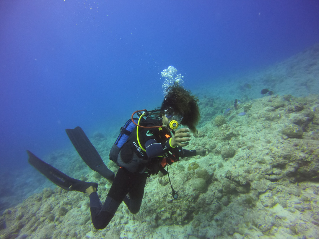 Dive Spirit Mauritius-卓欧毕雪必去景点