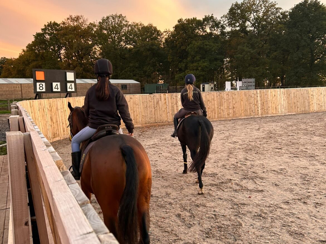 Dart Polo Academy-Gainsborough必去景点