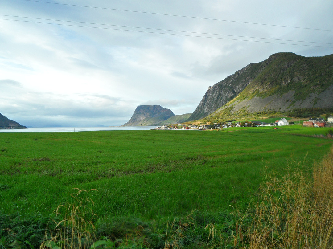 Kvæfjord Church-Borkenes必去景点