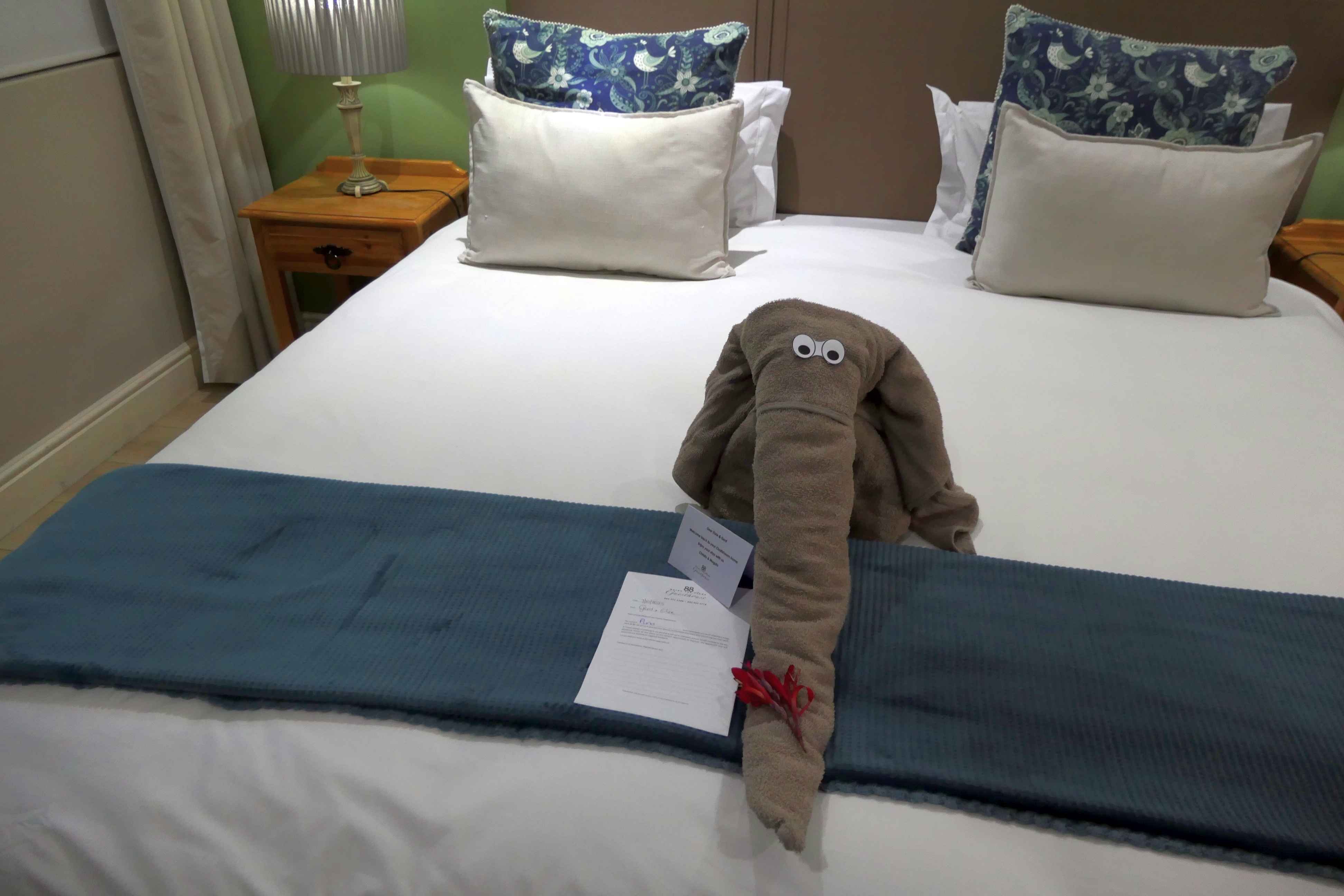 88 Baron van Reede Guesthouse-客卧