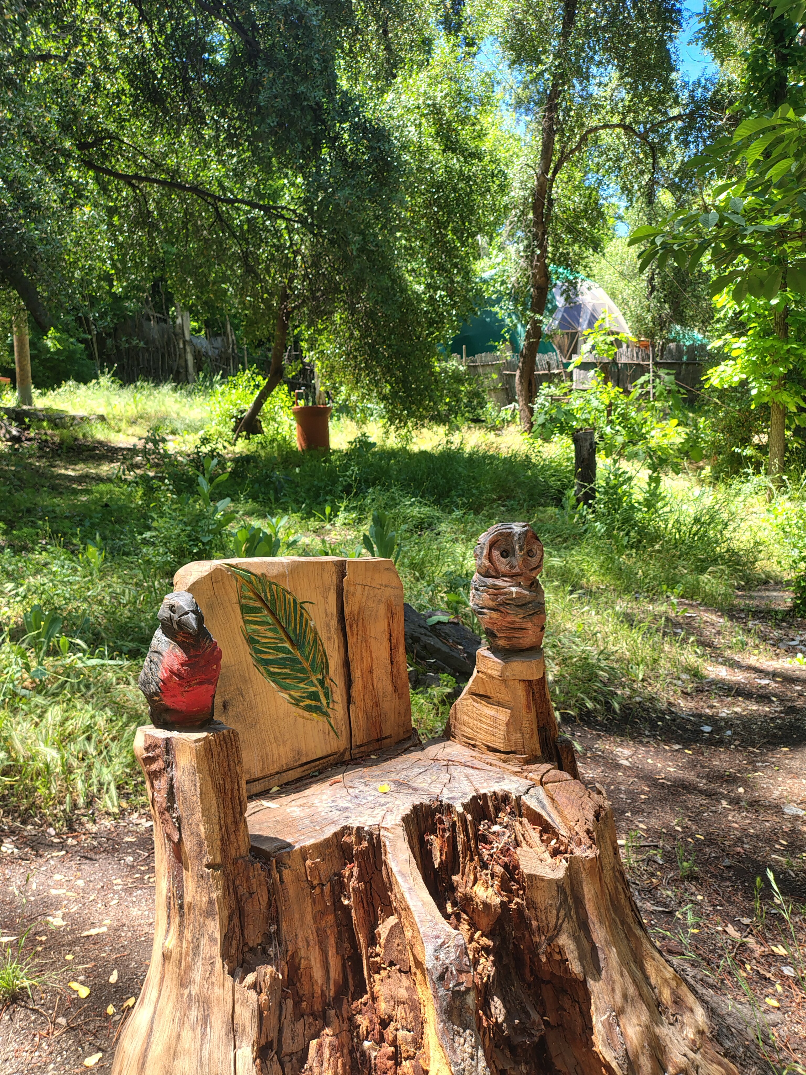 Cascada De Las Animas-官方
