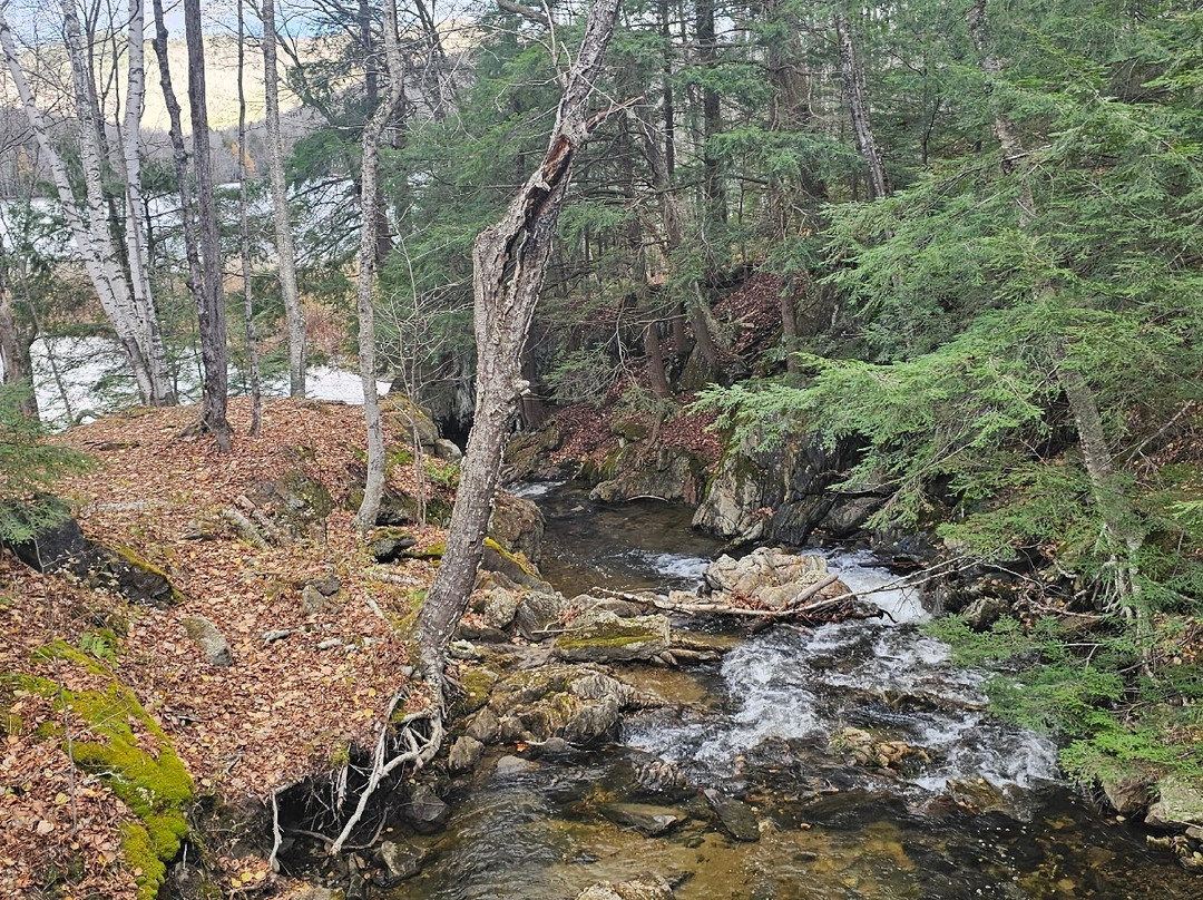 Best Western Inn & Suites Rutland-Killington主图