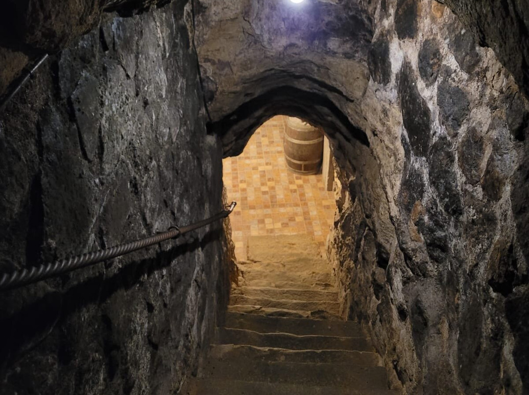 Bodegas Lecea-San Asensio必去景点