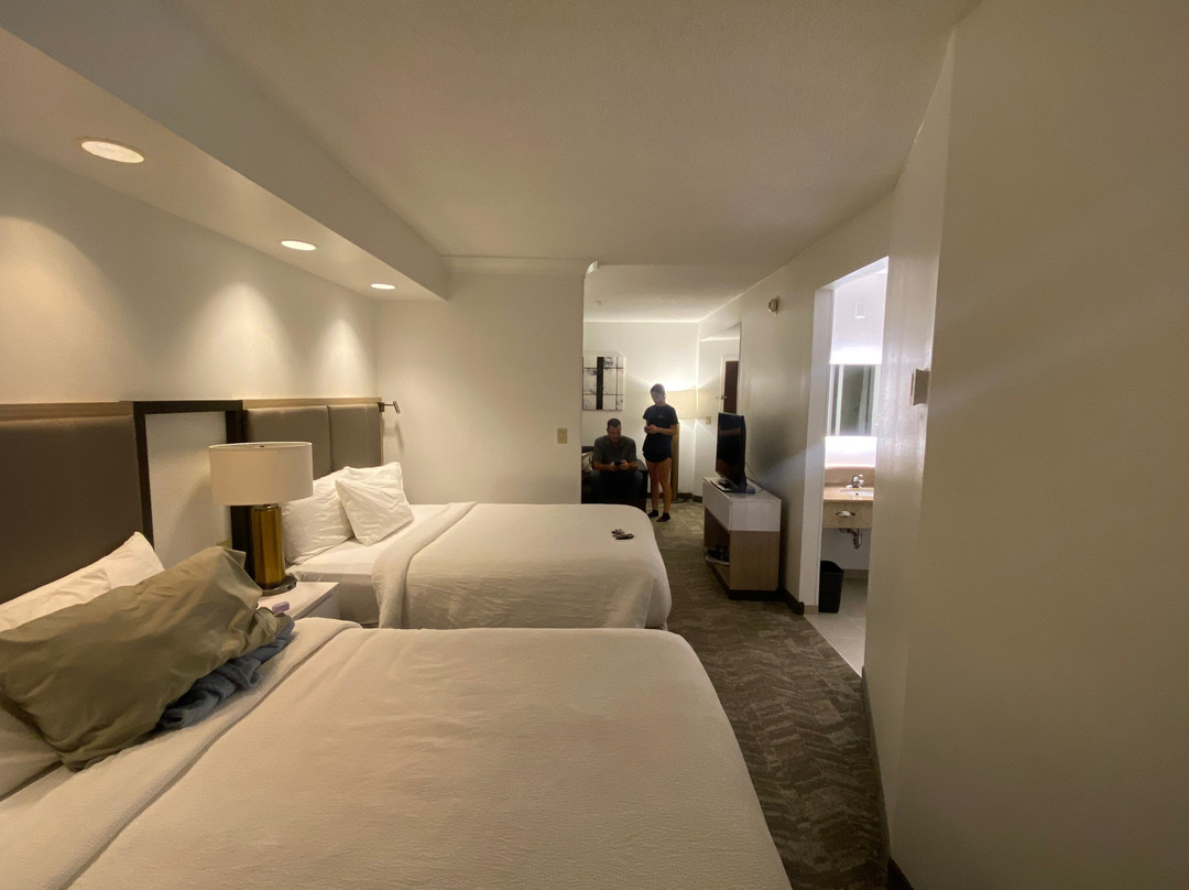 SpringHill Suites by Marriott Gainesville主图