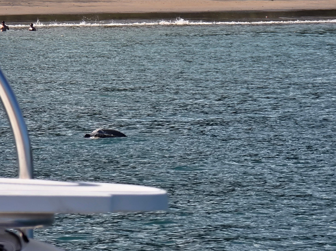 Scubacaribe, Costa Rica-Playa Matapalo必去景点