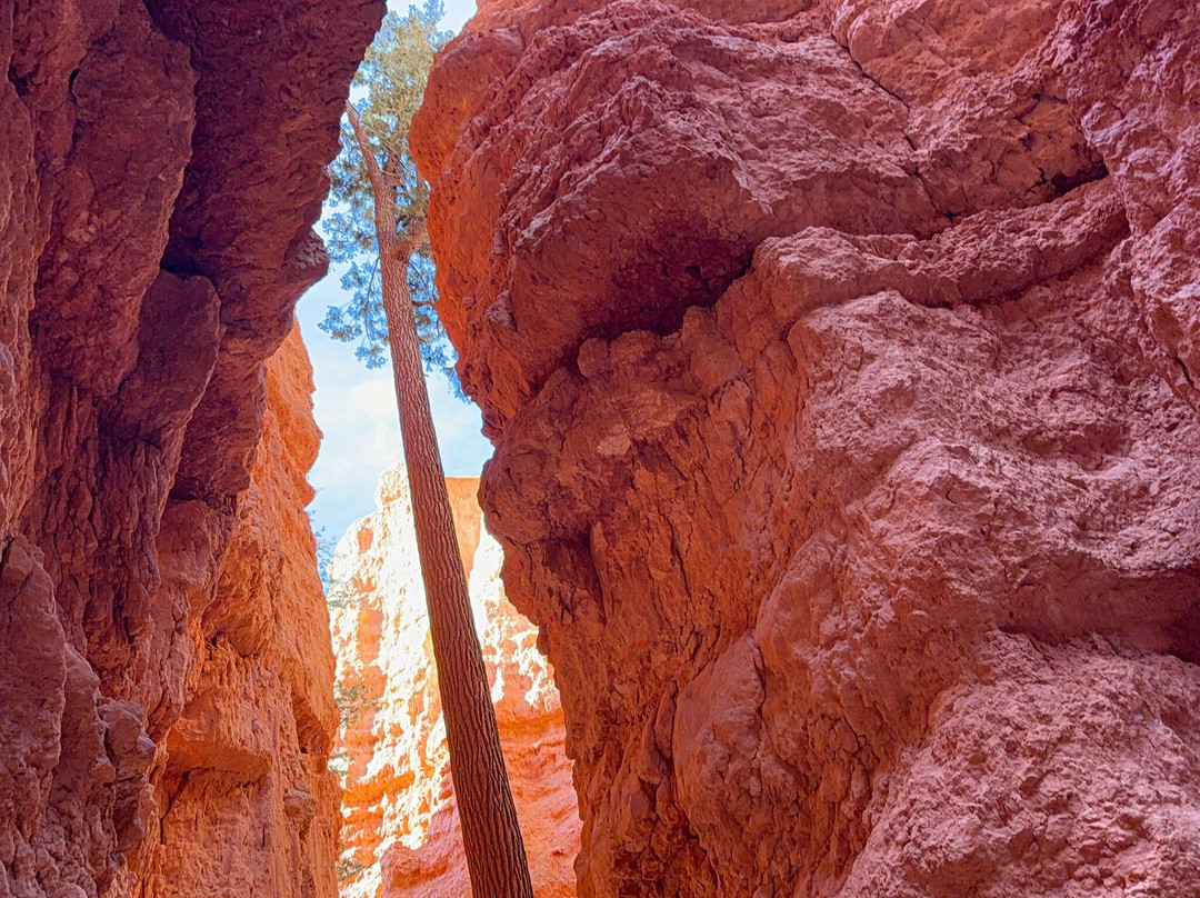 Canyon Ministries-大峡谷国家公园必去景点