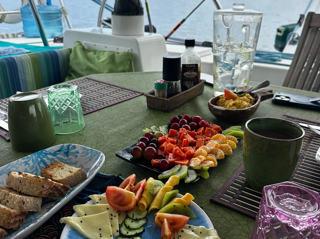 Flying Ginny Catamaran Charter-埃尔波韦尼尔必去景点