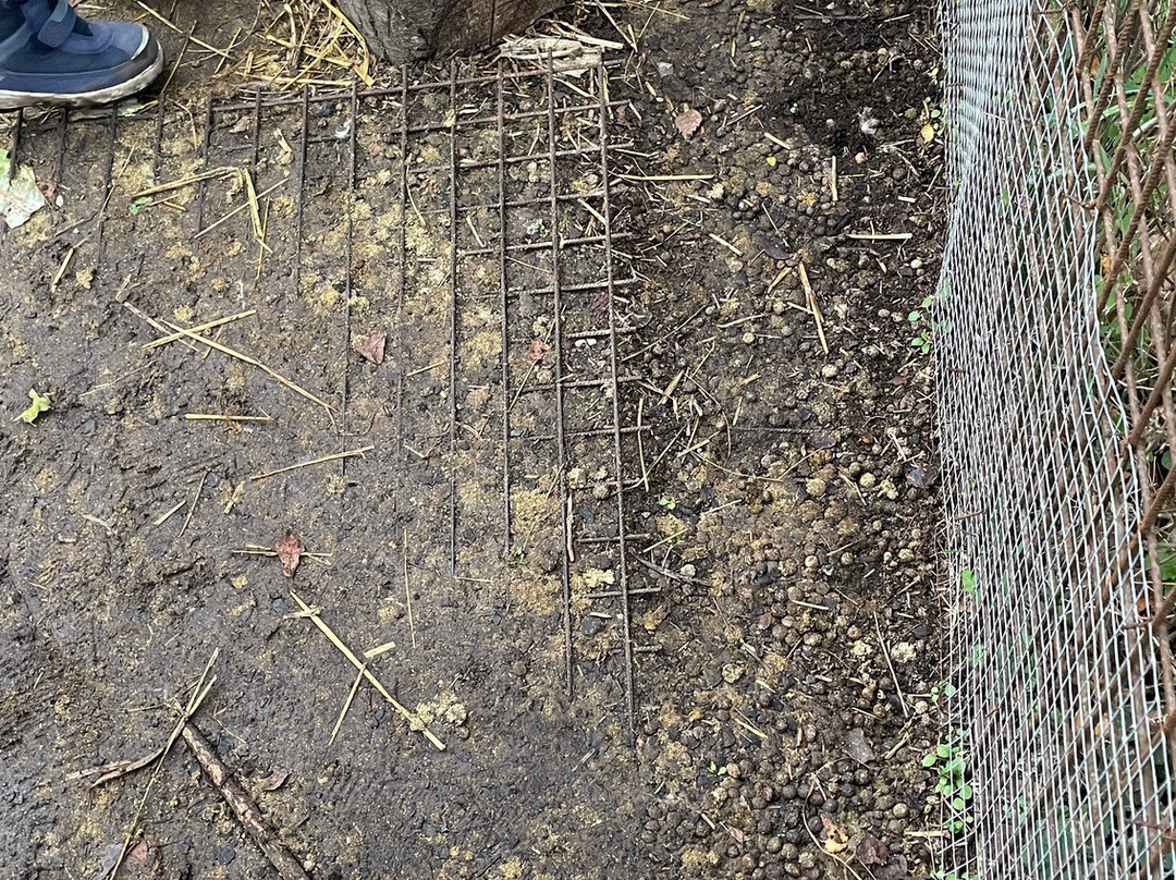 Monkey World-希勒洛必去景点