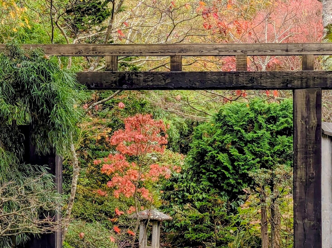 The Japanese Garden-St. Mawgan必去景点