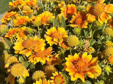 Incrivel Chile-圣地亚哥必去景点