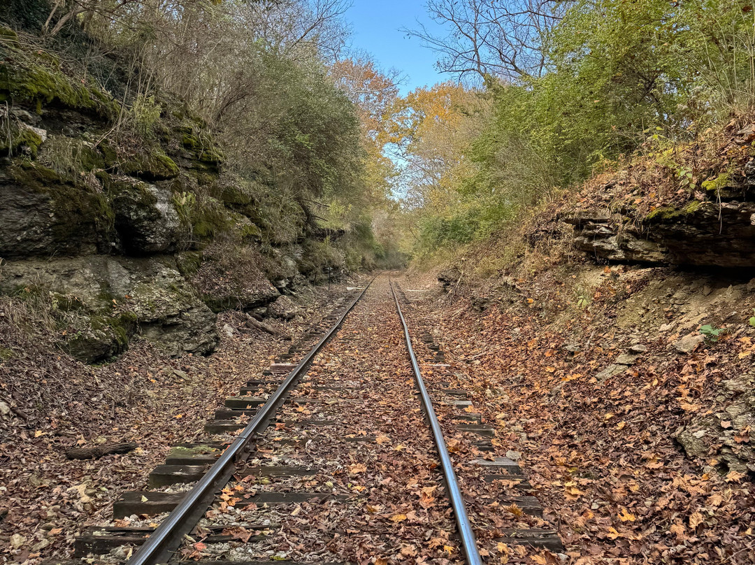 Rail Explorers: Bluegrass KY Division-列克星敦必去景点