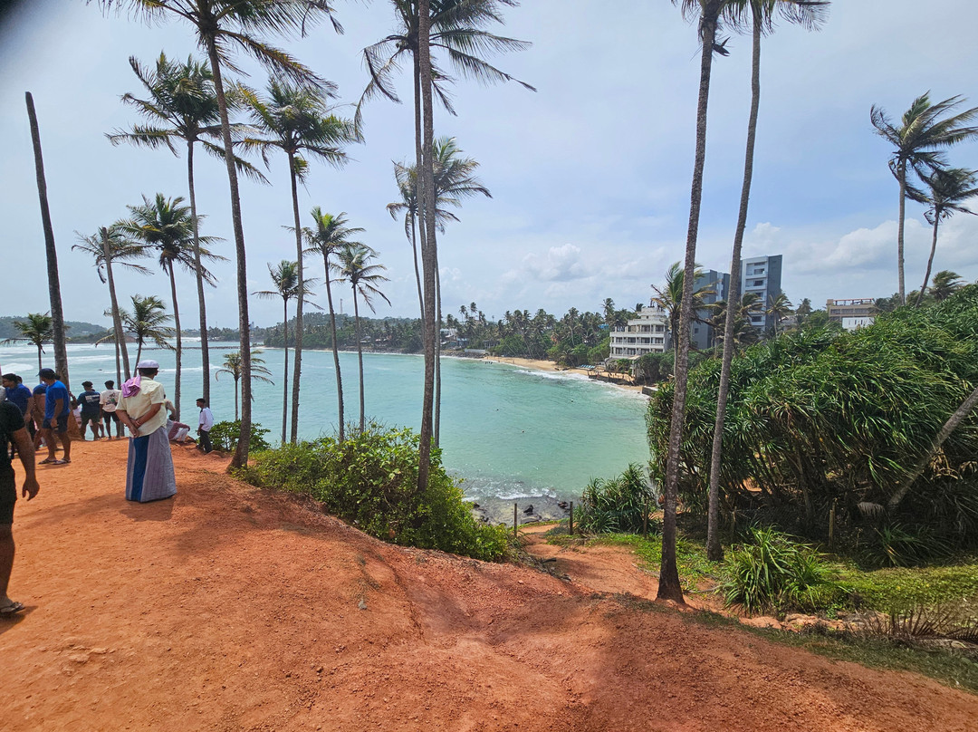 Coconut Tree Hill-美蕊沙必去景点