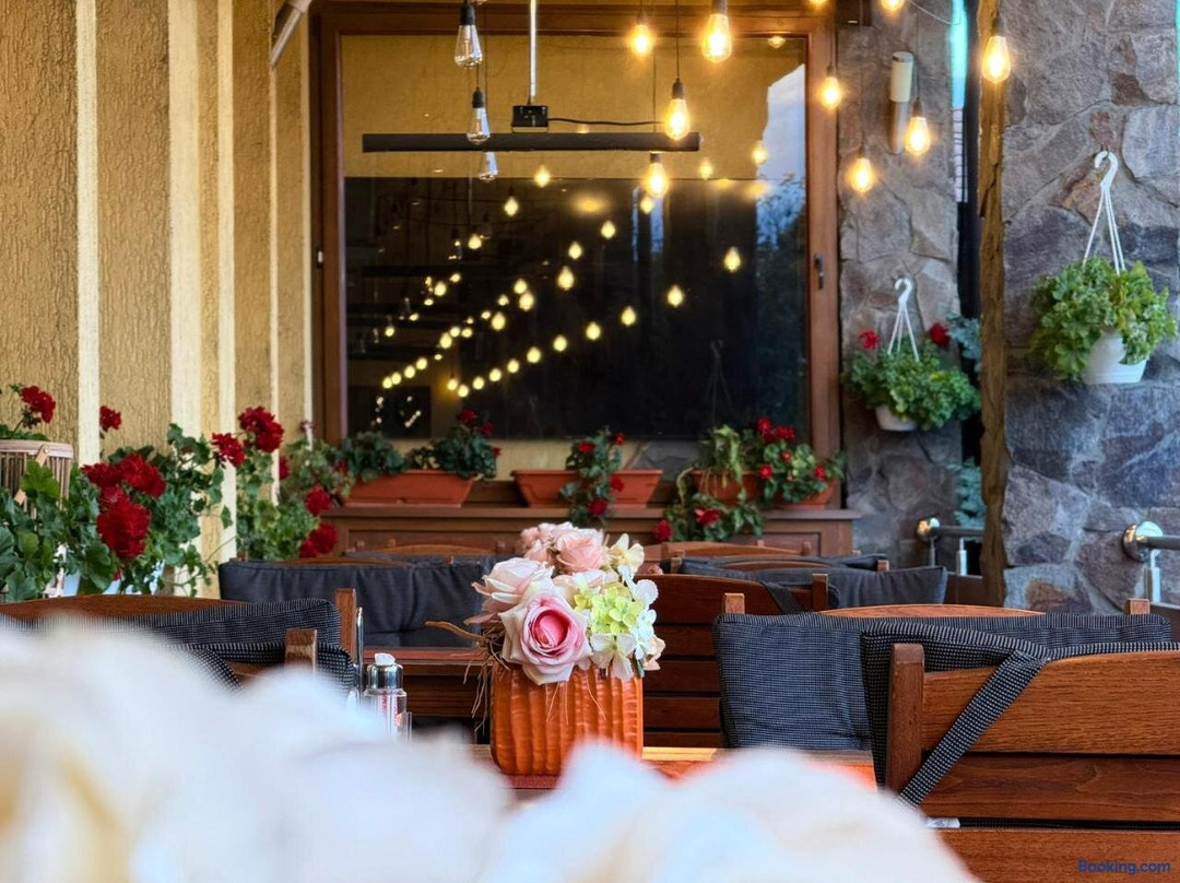 Reghin酒店住宿-Hotel Valea Regilor