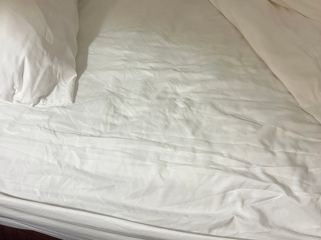 大西洋海岸希洛套房酒店主图