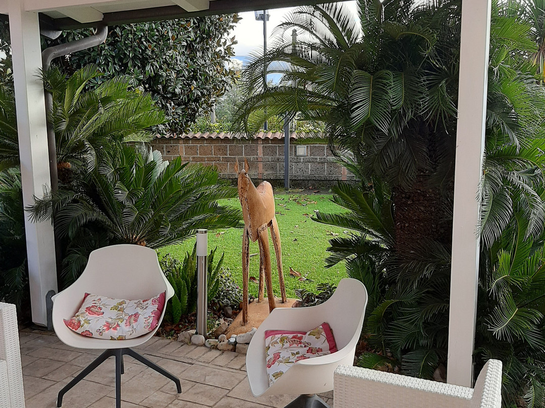 La Magnolia B&B主图