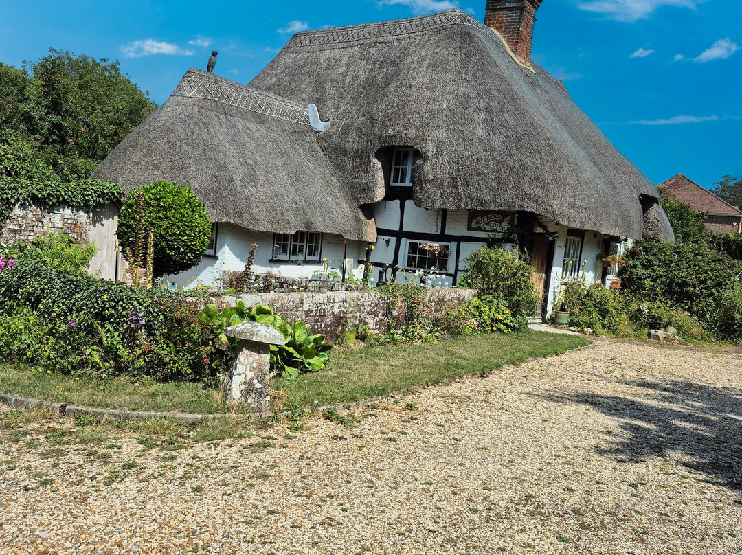 The Coach House主图