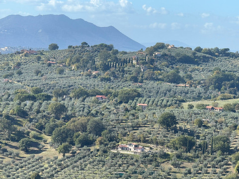 Convivio Rome - Olive Oil Tour-罗马必去景点
